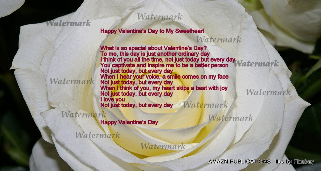 Not Just Today Valentine’s Day Ecard