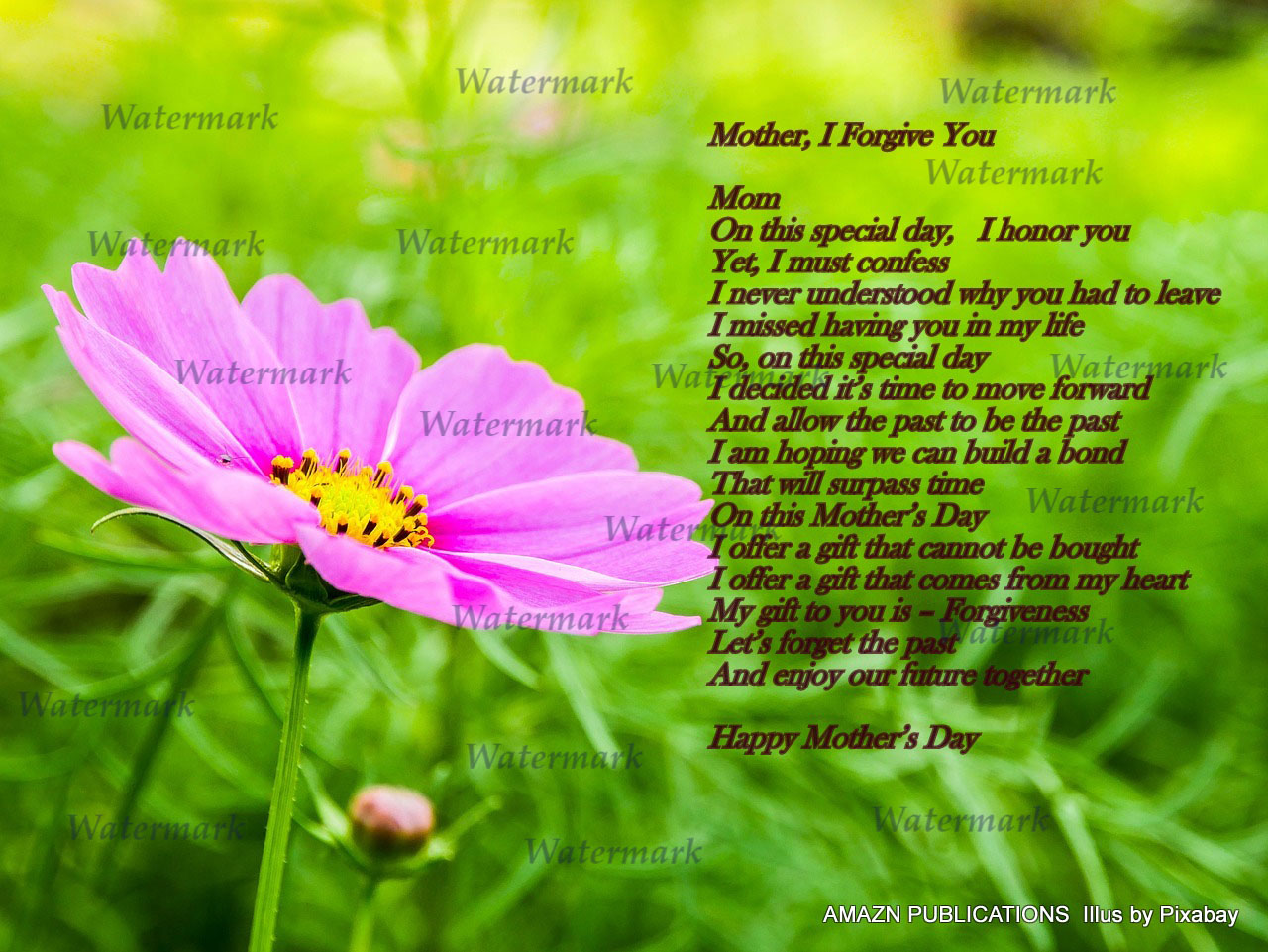 Mothers Day I Forgive You Ecard