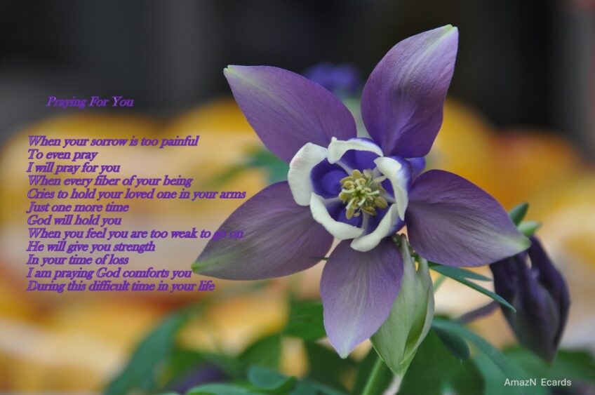 Praying for You Sympathy Ecard