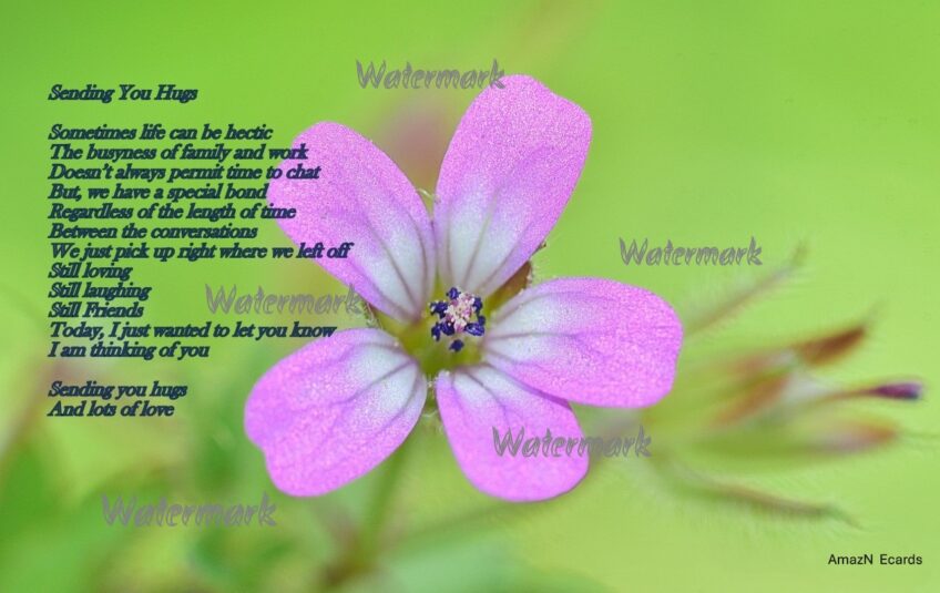 Sending You Hugs Friendship Ecard