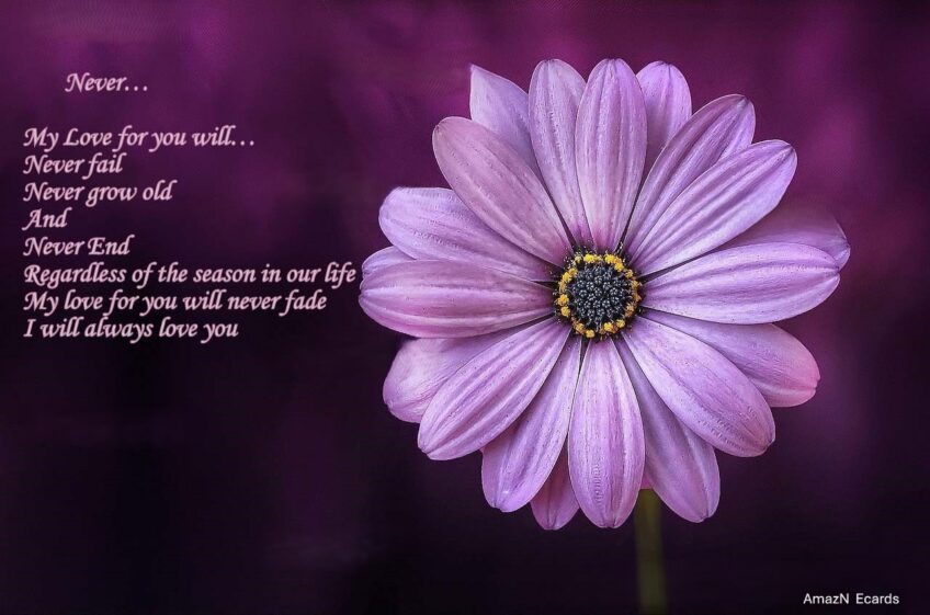 Romantic Ecard for Her – Never