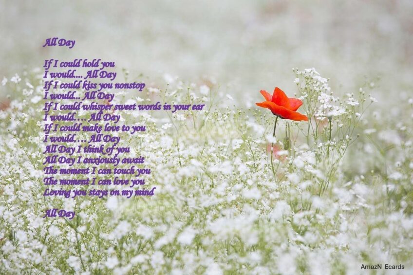 Romantic Ecard for Her – All Day