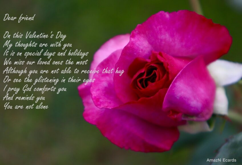 Valentine for a Special Friend