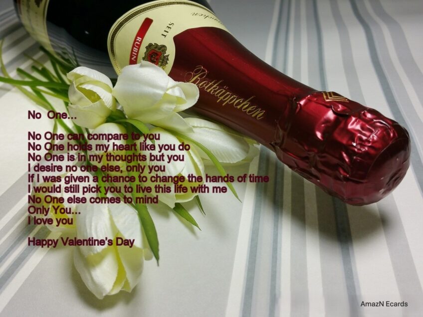 No One Valentine’s Ecard