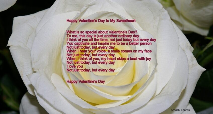 Not Just Today Valentine’s Day Ecard