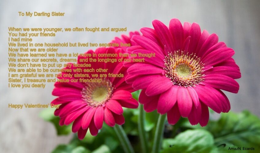 Sister Happy Valentine’s Day