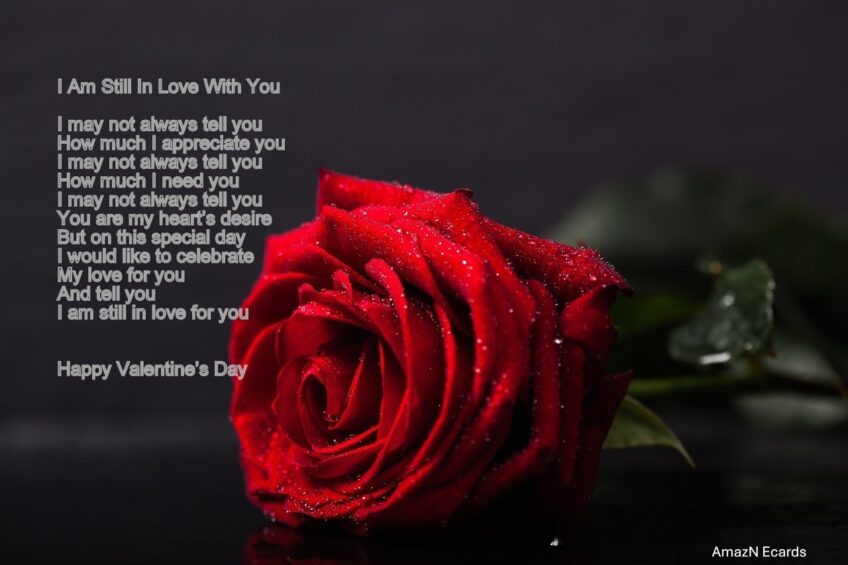 Still In Love Valentine’s Ecard