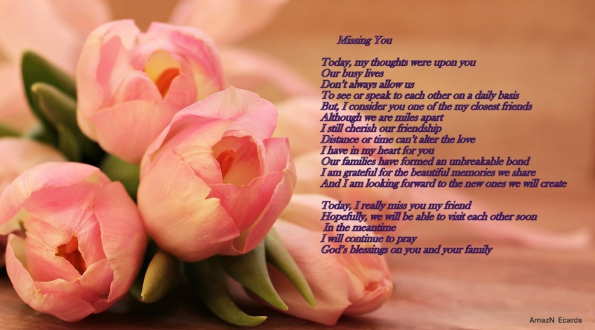 Missing You-Friendship Ecard