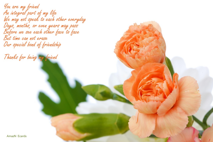 Friendship that Surpasses Time