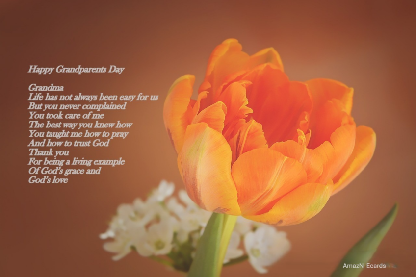 Happy Grandparents Day3