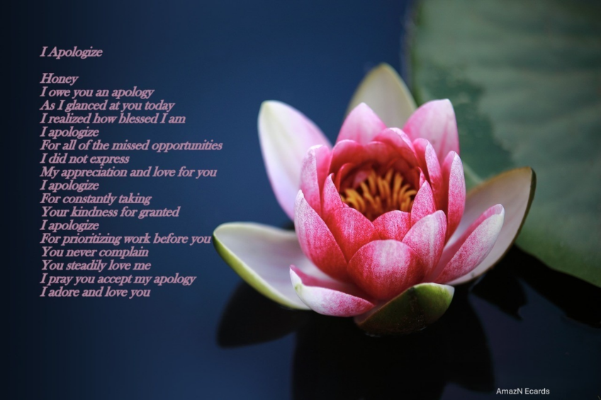 I Apologize Romantic Ecard