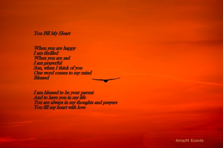 Son -You Fill My Heart